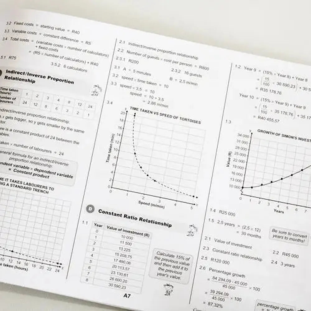 Grade 11 Maths Literacy 3-in-1 CAPS AFR/ENG