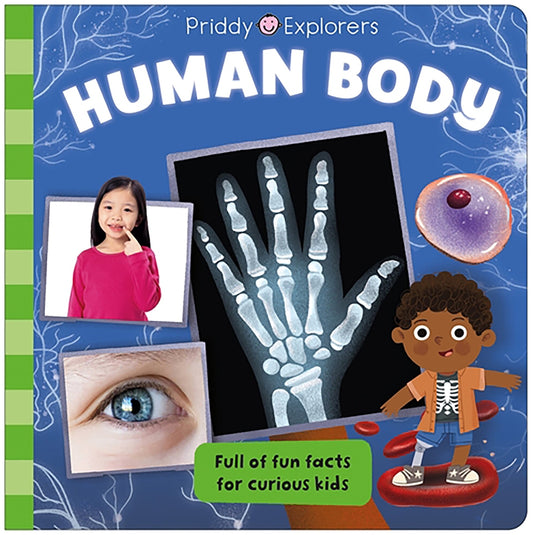 Human Body