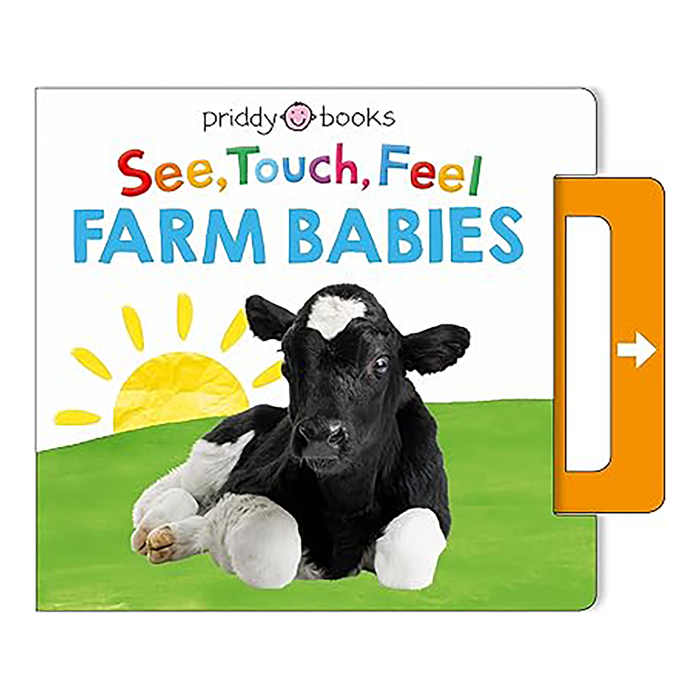 See Touch Feel Farm Babies
