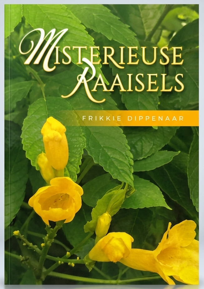 Misterieuse Raaisels deur Frikkie Dippenaar